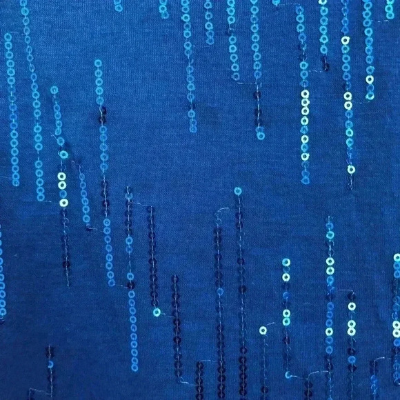 Carol Rose Blue Sleeveless Sequin Top Size Small - Picture 3 of 11